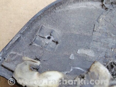 ФОТО Накладка на дверь задняя правая для Hyundai Santa Fe II CM (06-12) Київ