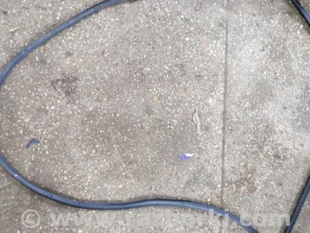 ФОТО Уплотнительная резинка передняя правая для Subaru Legacy IV BL/BP (03-09) Київ