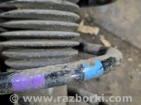 ФОТО Пружина передняя правая для Subaru XV I GP/G33 (11-16) Київ