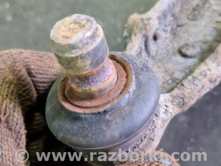 ФОТО Рычаг задний правый для Subaru XV I GP/G33 (11-16) Київ