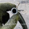 ФОТО Патрубок левый для Subaru Legacy IV BL/BP (03-09) Київ