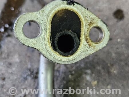 ФОТО Трубка EGR для Subaru Legacy IV BL/BP (03-09) Київ
