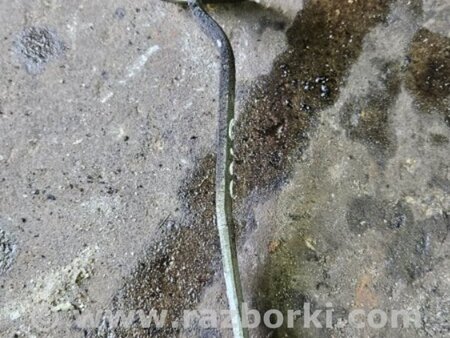 ФОТО Кронштейн для Subaru Legacy IV BL/BP (03-09) Київ