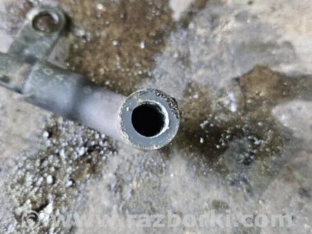 ФОТО Патрубок для Subaru Legacy IV BL/BP (03-09) Київ