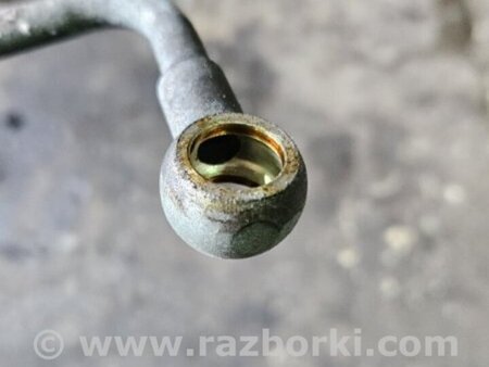 ФОТО Трубка масляная для Subaru Legacy IV BL/BP (03-09) Київ