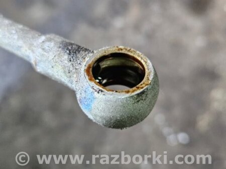 ФОТО Трубка масляная для Subaru Legacy IV BL/BP (03-09) Київ