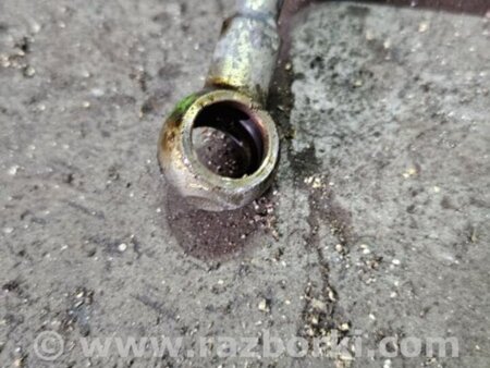 ФОТО Трубка масляная для Subaru Legacy IV BL/BP (03-09) Київ