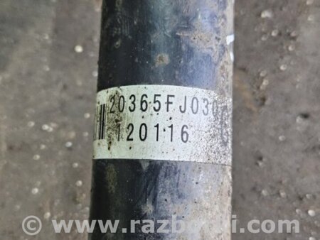 ФОТО Амортизатор задний для Subaru XV I GP/G33 (11-16) Київ