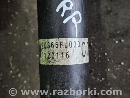 ФОТО Амортизатор задний для Subaru XV I GP/G33 (11-16) Київ