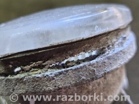 ФОТО Противотуманная фара левая для Subaru Legacy IV BL/BP (03-09) Київ