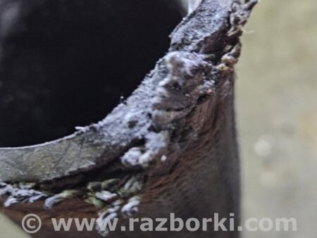 ФОТО Патрубок интеркулера для KIA Sportage SL (10-16) Київ