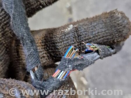 ФОТО Проводка для Audi (Ауди) Q5 I 8R (08-17) Київ