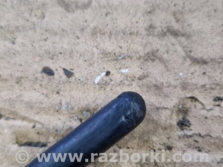 ФОТО Антенна для Subaru XV I GP/G33 (11-16) Київ