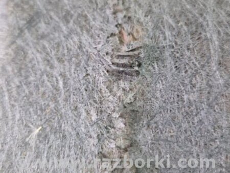 ФОТО Обшивка капота для Subaru Legacy IV BL/BP (03-09) Київ