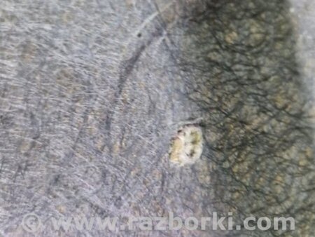 ФОТО Обшивка капота для Subaru Legacy IV BL/BP (03-09) Київ