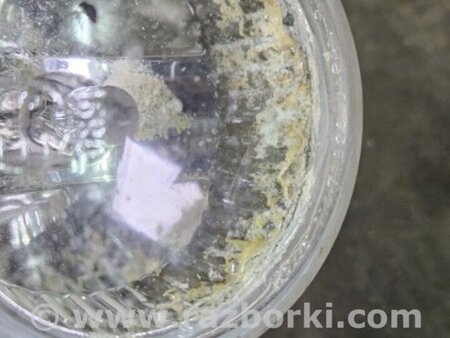 ФОТО Противотуманная фара левая для Subaru Legacy IV BL/BP (03-09) Київ