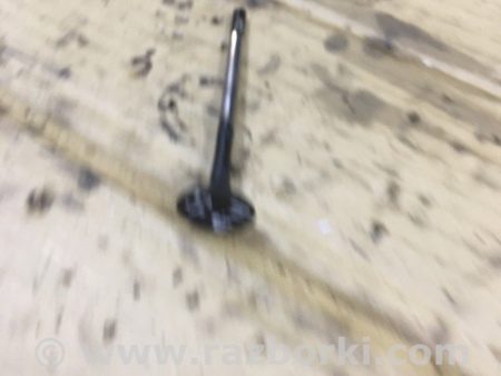 ФОТО Клапан выпускной для Audi (Ауди) A6 C7 4G (11-18) Київ