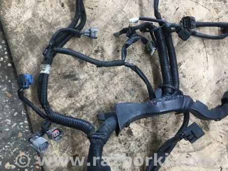 ФОТО Проводка для Subaru Legacy IV BL/BP (03-09) Київ