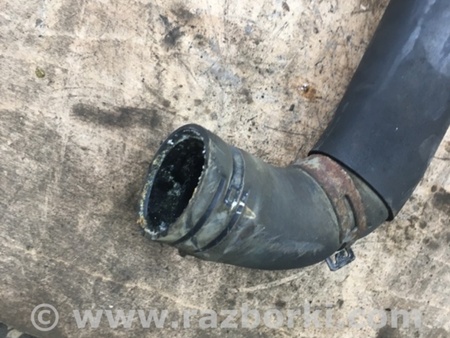 ФОТО Патрубок радиатора для Subaru Legacy IV BL/BP (03-09) Київ
