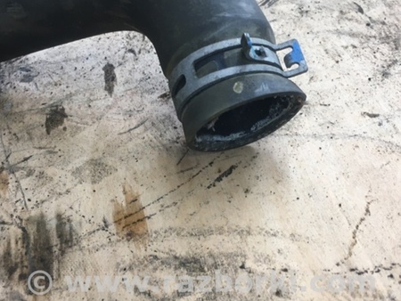 ФОТО Патрубок радиатора для Subaru Legacy IV BL/BP (03-09) Київ