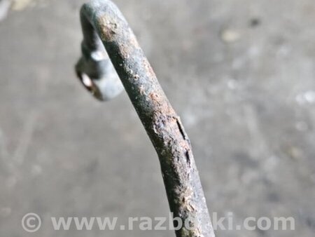 ФОТО Трубка масляная для Subaru Legacy IV BL/BP (03-09) Київ