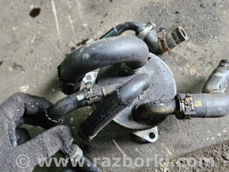 ФОТО Теплообменник для Subaru Legacy IV BL/BP (03-09) Київ