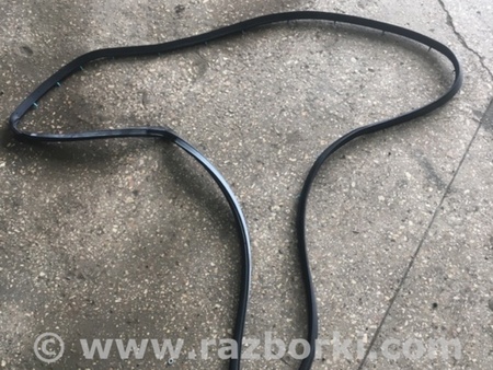 ФОТО Уплотнительная резинка задняя правая для Subaru Tribeca B9 (05-08) Київ