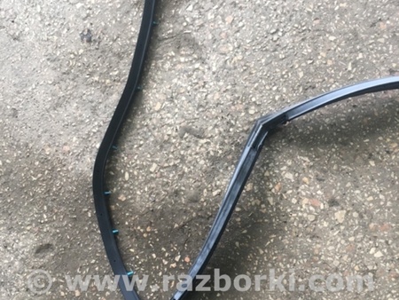 ФОТО Уплотнительная резинка задняя правая для Subaru Tribeca B9 (05-08) Київ