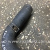 ФОТО Патрубок радиатора для Subaru Tribeca B9 (05-08) Київ