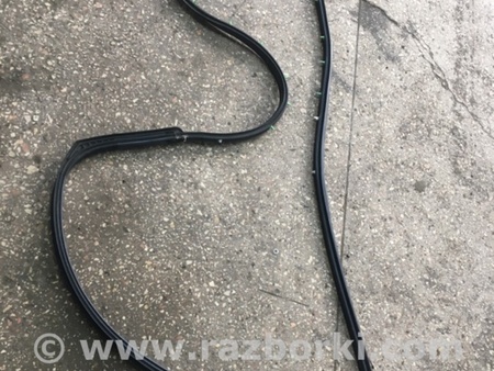 ФОТО Уплотнительная резинка передняя правая для Subaru Tribeca B9 (05-08) Київ