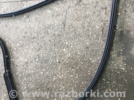ФОТО Уплотнительная резинка передняя правая для Subaru Tribeca B9 (05-08) Київ