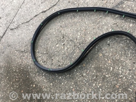 ФОТО Уплотнительная резинка передняя правая для Subaru Tribeca B9 (05-08) Київ