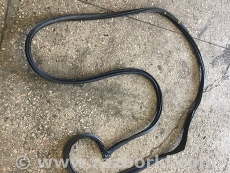 ФОТО Уплотнительная резинка передняя левая для Subaru Tribeca B9 (05-08) Київ