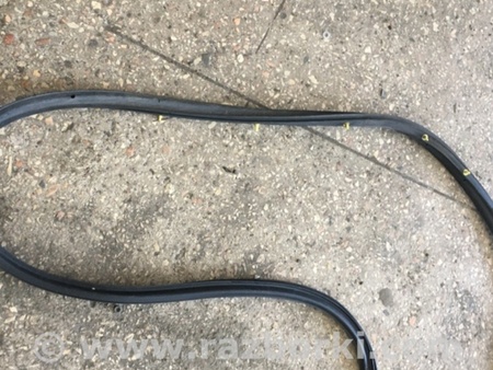 ФОТО Уплотнительная резинка передняя левая для Subaru Tribeca B9 (05-08) Київ
