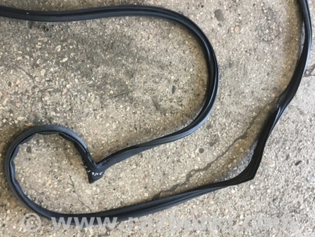 ФОТО Уплотнительная резинка передняя левая для Subaru Tribeca B9 (05-08) Київ