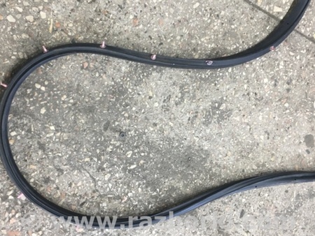 ФОТО Уплотнительная резинка задняя левая для Subaru Tribeca B9 (05-08) Київ