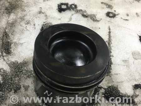 ФОТО Поршень для Audi (Ауди) Q5 I 8R (08-17) Київ