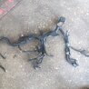 ФОТО Проводка для Subaru Impreza GD/GG Киев