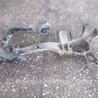 ФОТО Цапфа для Subaru Outback Киев