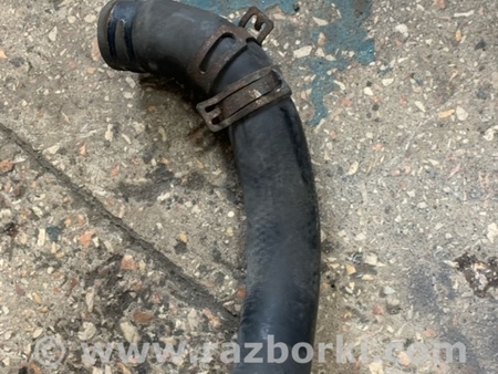 ФОТО Патрубок радиатора для Hyundai ix35 I LM/EL Tucson (10-17) Київ