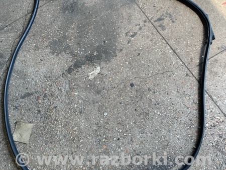 ФОТО Уплотнительная резинка передняя левая для Hyundai ix35 I LM/EL Tucson (10-17) Київ