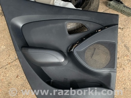 ФОТО Карта двери задней левой для Hyundai ix35 I LM/EL Tucson (10-17) Київ