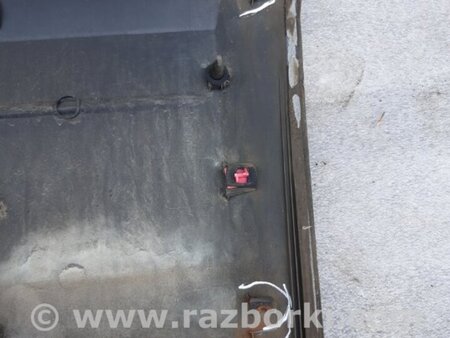 ФОТО Молдинг на дверь передний левый для KIA Sorento 1 BL (02-09) Київ