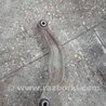 ФОТО Рычаг подвески для Subaru Outback Киев