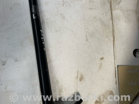 ФОТО Амортизатор багажника задний левый для Subaru Outback V BS (14-21) Київ