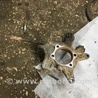 ФОТО Цапфа для Subaru Outback Киев