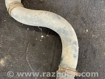 ФОТО Патрубок радиатора для KIA Sorento 2 XM (09-14) Київ