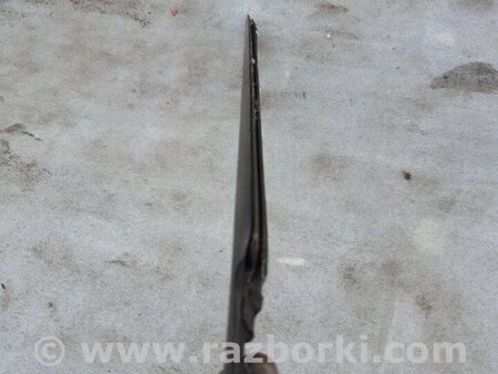 ФОТО Молдинг на дверь передний левый для KIA Sorento 1 BL (02-09) Київ