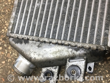 ФОТО Интеркулер для Subaru Outback V BS (14-21) Київ