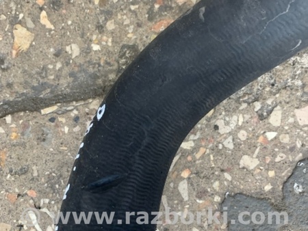 ФОТО Патрубок радиатора для Mercedes-Benz E-CLASS W212 (09-16) Київ